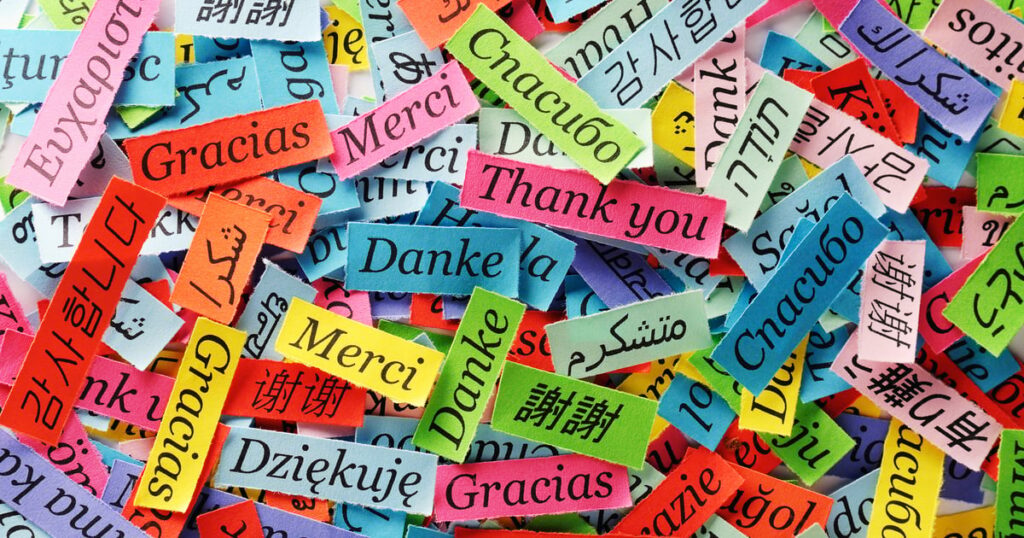 Combatting Cultural Bias in the Translation of AI Models