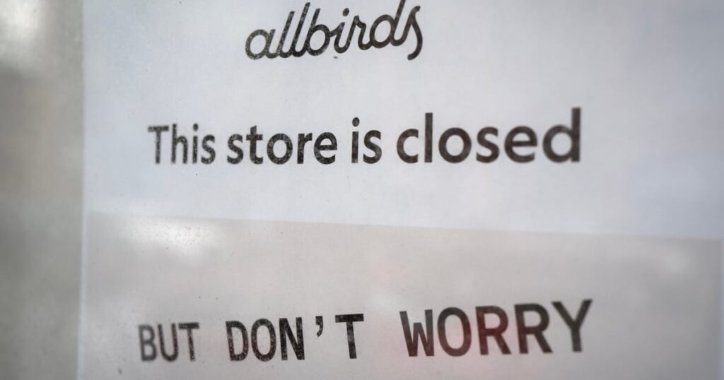 Once Trendy Shoe Company Allbirds Pivots to AI Infrastructure