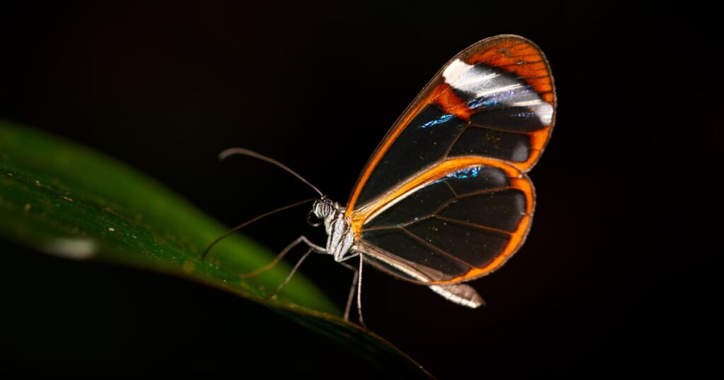 Anthropic’s Glasswing Highlights AI’s Security Paradox